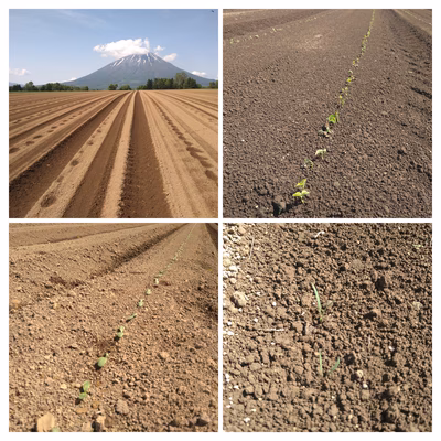 みんなの投稿の画像