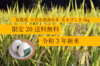 ≪送料無料≫限定20！阿蘇産・新米5kg(あきげしき)※11月中一斉発送