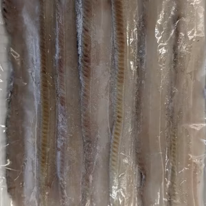 太刀魚フィーレ　500g真空パック瞬間冷凍　宇和島豊後水道産