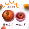 【ギフト専用】りんご 秋田県産 直送   お歳暮 りんご 林檎 ふじ 王林 