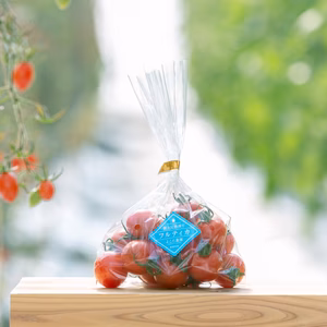 【新春SALE】290gx4袋★ジューシー中玉トマト【フルティカトマト】