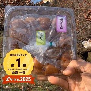 うめよしの訳あり南高梅すっぱくないよ300ｇ×2～