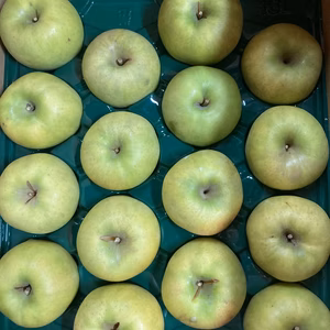 幻のりんご青林　大玉訳あり家庭用5キロ16玉