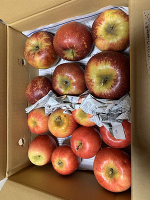 みんなの投稿の画像