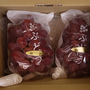 紫苑というブドウ　１kg程度　神話の郷よりお届けします2～3個