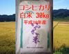 コシヒカリ 白米 30kg【平成30年産】金沢いやさか米