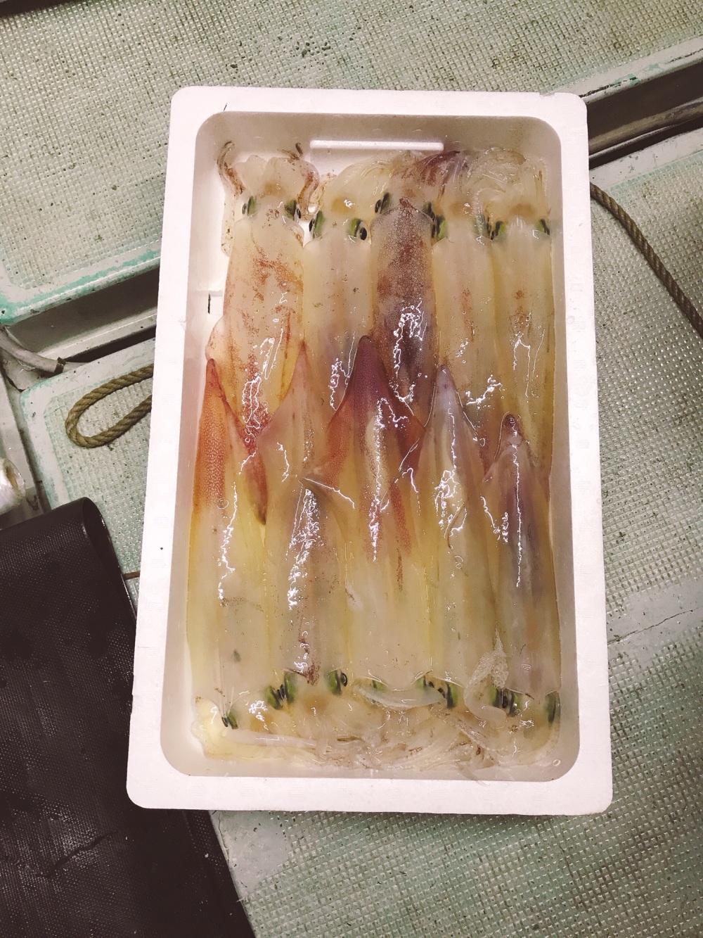 漁師直送のイカ 剣先イカ はイカがですか 1kg 冷蔵 農家漁師から産地直送の通販 ポケットマルシェ