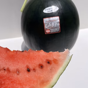 【黒皮】種が小さい！熊本発!！黒大玉ピノダディ