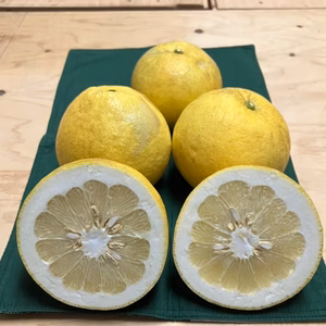 【人気商品】鹿児島県産「わっぜうまかぁサワーポメロ」おまけ付き