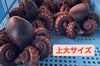 【タコフェス限定価格ver】東京湾産！まるごと1匹！！浜茹で地たこ(上大サイズ)