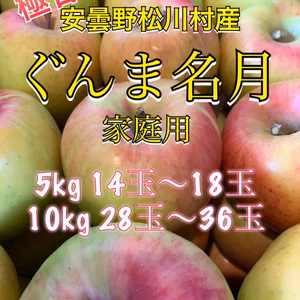 極甘！安曇野松川村産【ぐんま名月】5kg,10kg家庭用