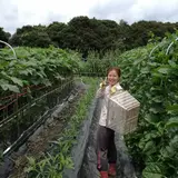 長崎海咲 | みさき農園。