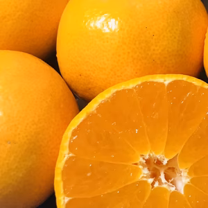 和歌山　天田みかん　家庭用　10kg