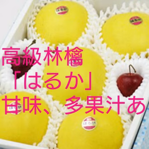 滝沢市発祥の高級林檎「はるか」贈答用5玉入り