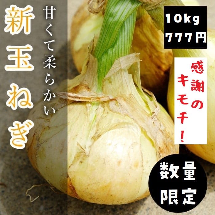 10kg 777円 感謝特価 美味 新玉ねぎ 名産地から直送 追記お読み下さい 農家漁師から産地直送の通販 ポケットマルシェ