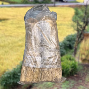 稲藁（わら）2025年度天日干し 約６キロ 約30束 　畑のマルチに