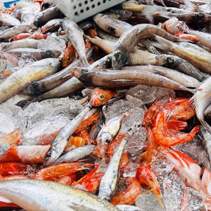 【9月先行予約】【魚ガチャ】何が入っているかわからない［未利用魚］おかず