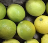 【栽培期間中農薬不使用・希少品】熊本産ライム