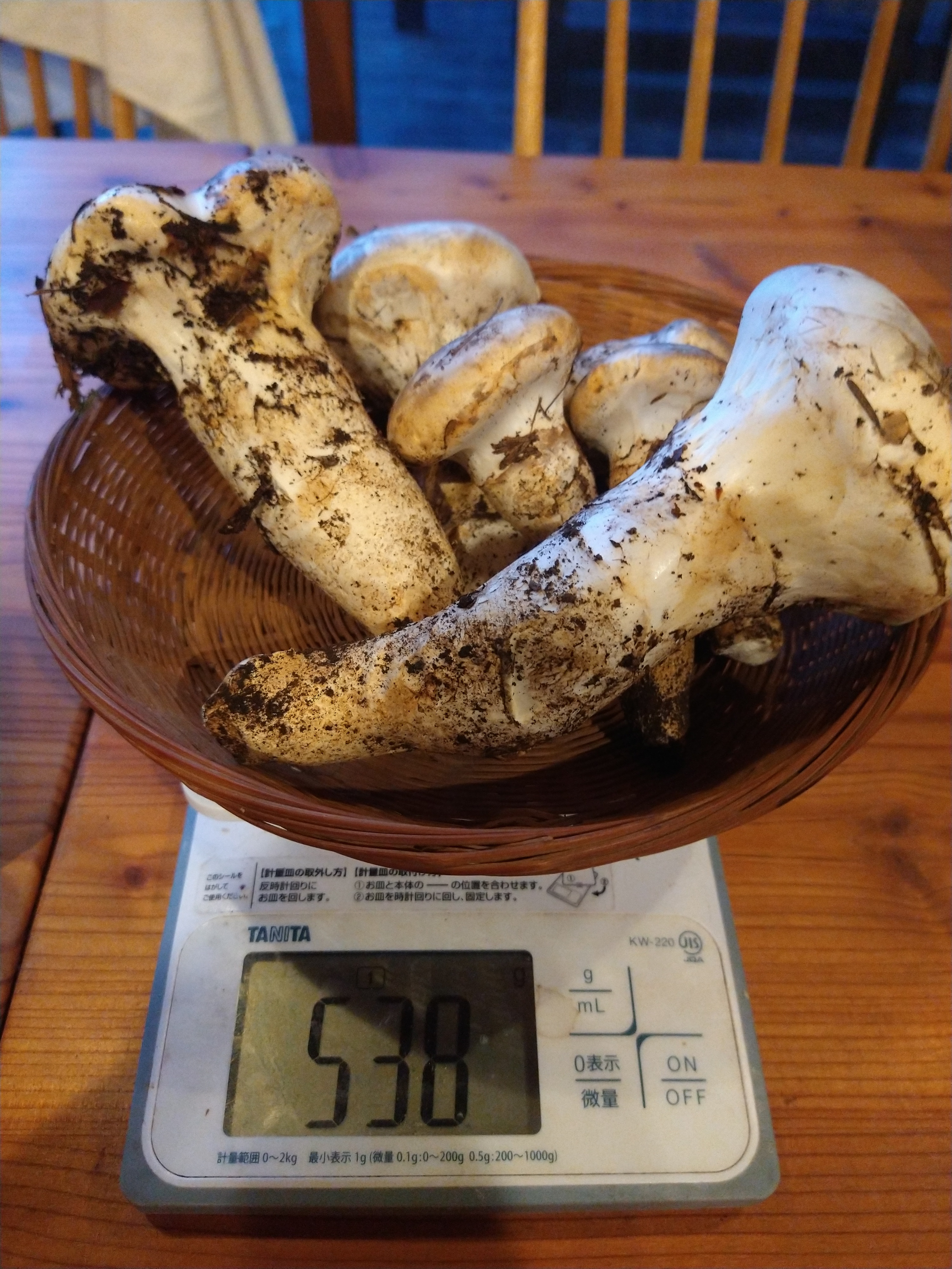 北海道産❗️天然松茸❗️340g‼️ ☆信州産松茸☆開きの冷凍松茸280グラム☆まつたけ☆国産松茸