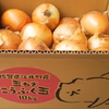 【今だけ!】訳あり?良質✨佐賀県江北町産玉ねぎ10kg