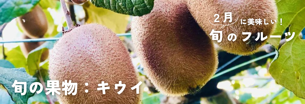 ２月に旬の果物：キウイ