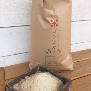 平成30年度 特A 長野県産コシヒカリ 10キロ