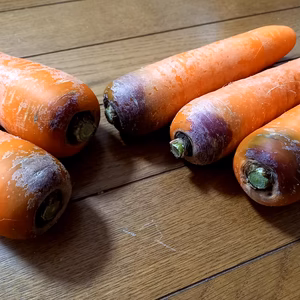 甘い八ヶ岳高原のにんじん　訳あり　大きめ（農薬・化学肥料不使用）