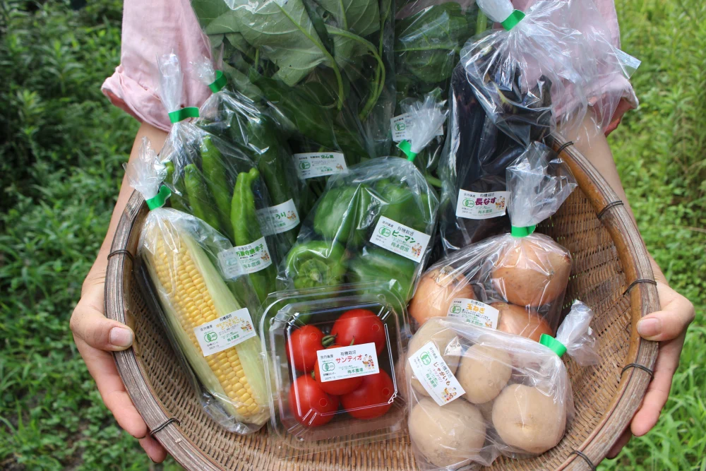 旬の有機野菜セット8~10品＜有機JAS認証＞