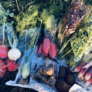 【肥料・農薬不使用】季節のお野菜セット
