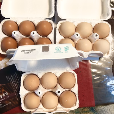 みんなの投稿の画像