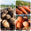【北海道自然栽培・訳あり】ぽっけの越冬男爵・にんじん(Sサイズ)・たまごセット