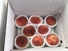 ヨシヒコの桃(3キロ箱/良品ver.)→8月の桃「なつっこ」他4種類