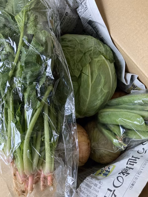 みんなの投稿の画像