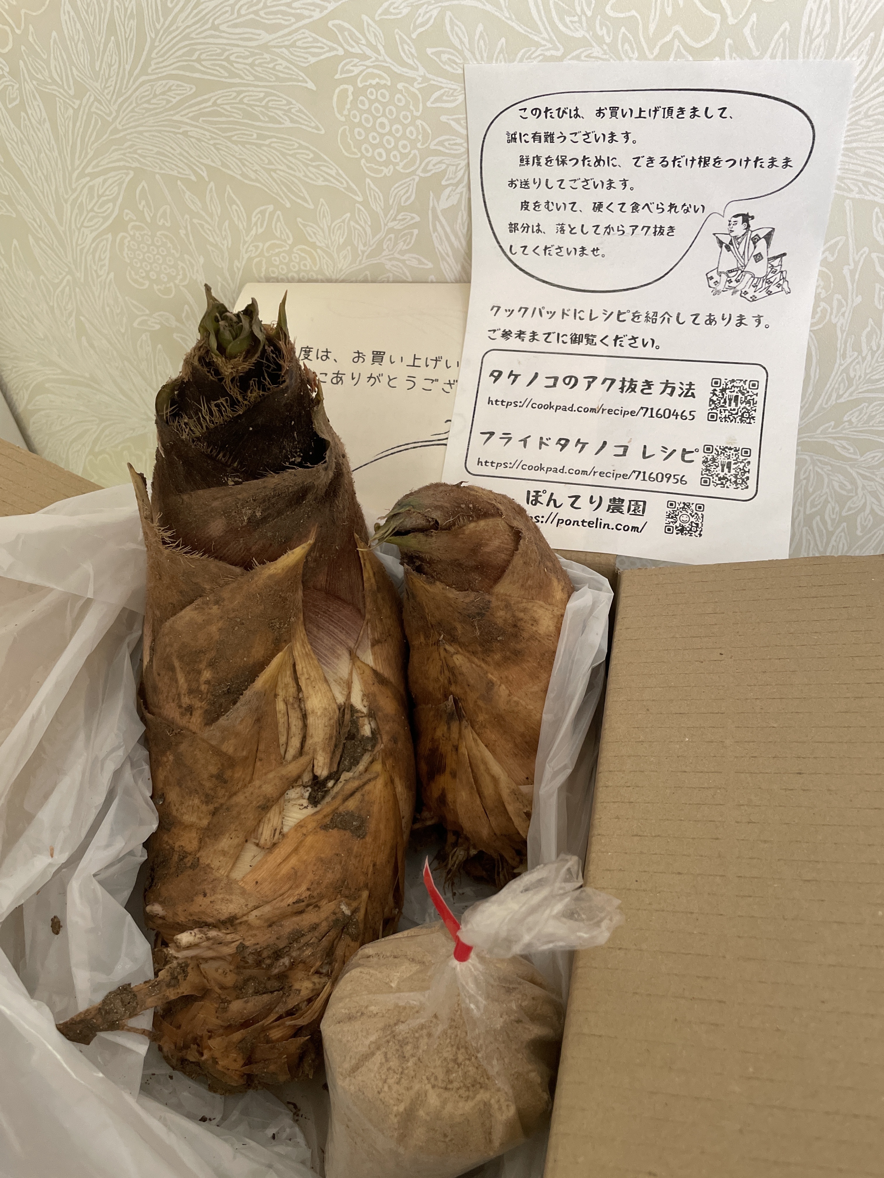 たけこ様。お買上げ頂きました(^-^) 八千代工場売店でお買い上げのお客様 朝採りたてのたけのこです。 数量限定です。  無料でお持ち帰りいただければと思います。 #ロック製菓 #ロック製菓株式会社 #八千代工場直売店 チョコ #チョコレート #コインチョコレート #コイン  ...