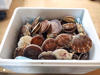 みんなの投稿の画像