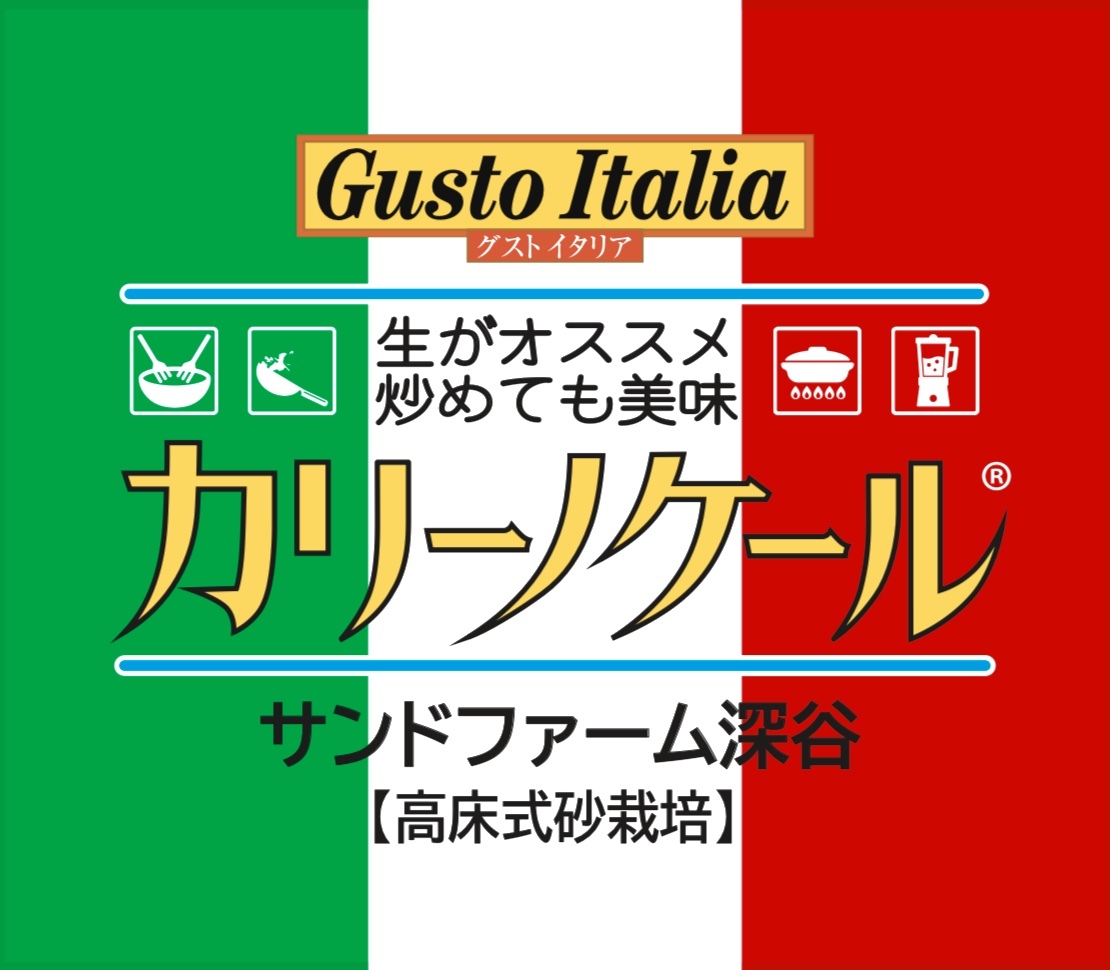 新鮮旨シャキ 苦みナシ 無農薬カリーノケール 8箱 砂栽培 農家漁師から産地直送の通販 ポケットマルシェ