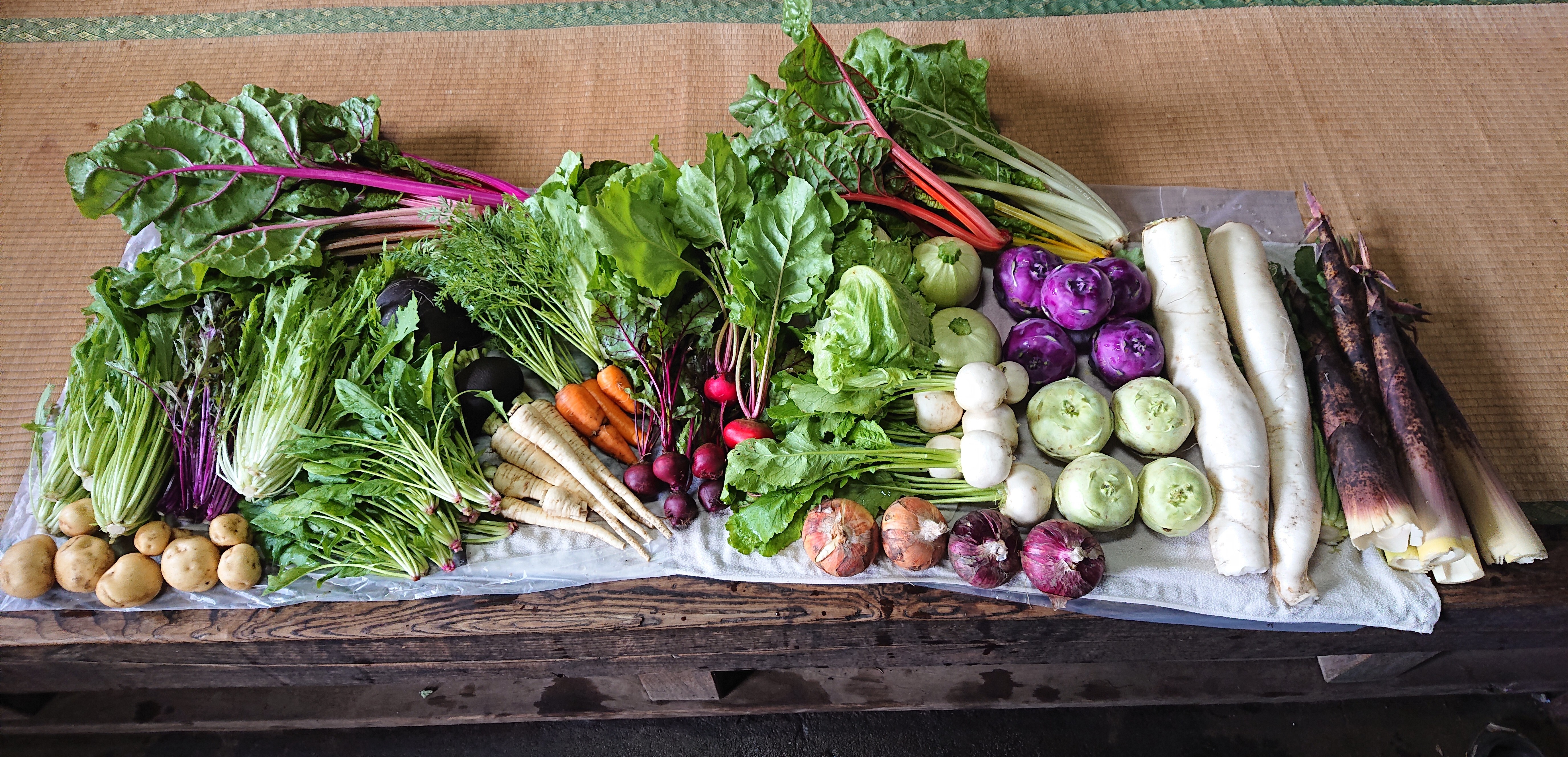 森のきゅうりさま依頼資料 守屋さん家の秩父きゅうりを使った「かっぱのサイダー」