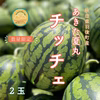 秋田県羽後町産小玉スイカ「秋田夏丸チッチェ」2玉入り