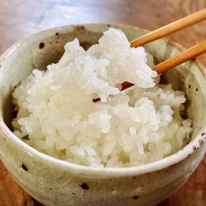 新米コシヒカリ5.5kg！令和7年産！鈴盛農園の愛情米！