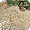 自然栽培のよんぱち（玄米・５kg）