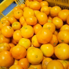 甘熟味濃厚小粒みかん　６㌔　マドンナ3㌔