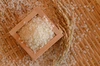 米ぬか1kg & 特別栽培米コシヒカリ 精米2kg 低農薬（80％以上削減）