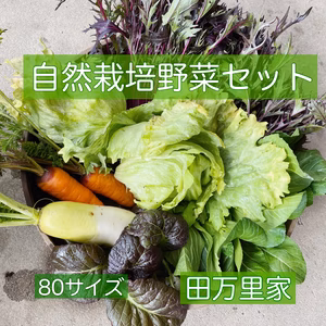 食のふるさと「田万里家」から野菜セットのお届け【栽培期間中農薬不使用】