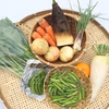 無農薬・野菜セット（定期おトク便・月2回）