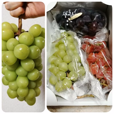 みんなの投稿の画像