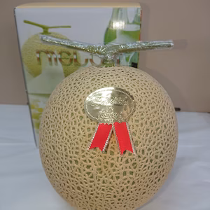 【贈答用メロン】静岡マスクメロン　等級白以上【芳醇な香りと甘さ♪】