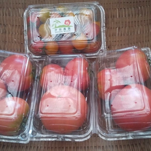 【農薬不使用】完熟トマト・ミニトマト ４パック