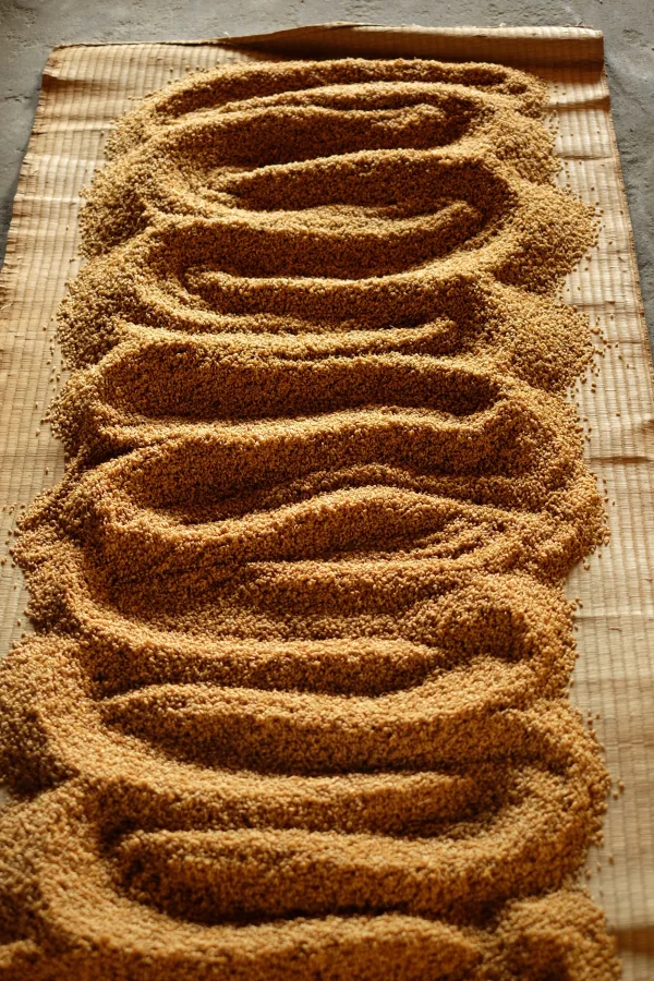 『自然栽培　ササニシキ』　無農薬　白米　4.5kg