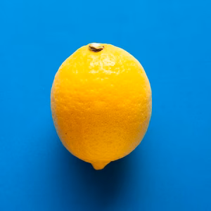 【広島県産】瀬戸田しまなみレモン(2㎏)