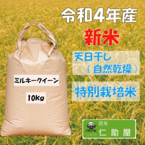 【新米】特別栽培米!!ミルキークイーン10ｋｇ